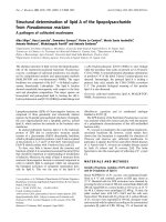 Báo cáo Y học: Structural determination of lipid A of the lipopolysaccharide from Pseudomonas reactans A pathogen of cultivated mushrooms doc