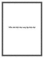 Mẫu nhà biệt thự song lập hiện đại pdf