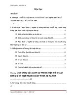 Tiểu luận học phần dân sự