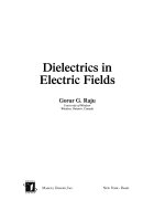 Dielectrics in electric fields (1)
