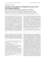 Báo cáo khoa học: Epoxidation of benzo[a]pyrene-7,8-dihydrodiol by human CYP1A1 in reconstituted membranes Effects of charge and nonbilayer phase propensity of the membrane pot