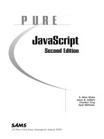PURE JavaScript Second Edition pot