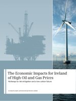 The Economic Impacts for Ireland of High Oil and Gas Prices doc