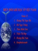 biến đổi khí hậu ở việt nam