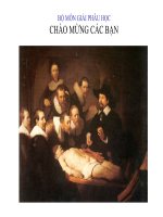 Giải phẫu bàn chân pptx