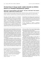 Báo cáo khoa học: Structural basis of charge transfer complex formation by riboﬂavin bound to 6,7-dimethyl-8-ribityllumazine synthase docx