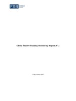 Global Shadow Banking Monitoring Report 2012 ppt
