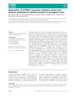 Báo cáo khoa học: Expression of CYP2E1 increases oxidative stress and induces apoptosis of cardiomyocytes in transgenic mice pdf