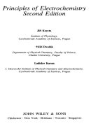 Principles of Electrochemistry , Second Edition doc