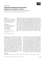 Báo cáo khoa học: Amyloid–cholinesterase interactions Implications for Alzheimer’s disease pot