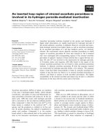 Báo cáo khoa học: An inserted loop region of stromal ascorbate peroxidase is involved in its hydrogen peroxide-mediated inactivation pot