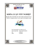 Luận văn: Phân tích hiệu quả hoạt động kinh doanh tại công ty TNHH mua bán và sửa chữa ô tô Phước Linh pdf