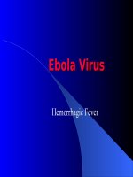 Bacteria are often maligned as the causes of human and animal disease (like this one, Leptospira, which causes serious disease in livestock)