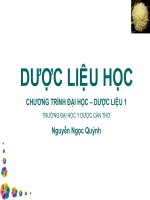 Đại cương dược liệu pot