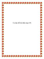 Ca dao đề tài miêu tả diện mạo doc