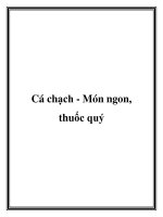 Cá chạch - Món ngon, thuốc quý pptx