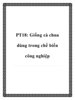 PT18: Giống cà chua dùng trong chế biến công nghiệp pdf