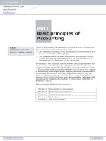 Hansie Hendricks Excerpt: Basic principles of Accounting docx