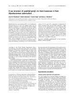 Báo cáo khoa học: X-ray structure of peptidyl-prolyl cis–trans isomerase A from Mycobacterium tuberculosis potx