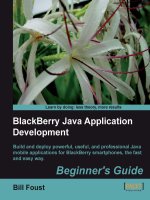 BlackBerry Java Application Development Beginner''''s Guide pdf