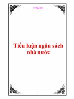 Tiểu luận ngân sách nhà nước