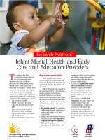 Research Synthesis Infant Mental Health and Early Care and Education Providers ppt