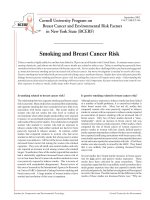 Cornell University Program on Breast Cancer and Environmental Risk Factors in New York State (BCERF) pptx