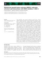 Báo cáo khoa học: Hepatocyte growth factor activator (HGFA): molecular structure and interactions with HGFA inhibitor-1 (HAI-1) doc