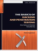 Basics of penetration testing