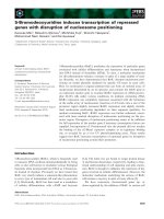 Báo cáo khoa học: 5-Bromodeoxyuridine induces transcription of repressed genes with disruption of nucleosome positioning pptx