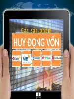 Các sản phẩm huy động vốn
