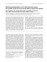 Báo cáo khoa học: Mimicking phosphorylation of the small heat-shock protein aB-crystallin recruits the F-box protein FBX4 to nuclear SC35 speckles docx