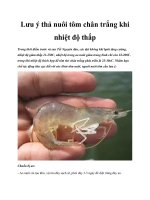 Lưu ý thả nuôi tôm chân trắng khi nhiệt độ thấp pptx