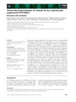 Báo cáo khoa học: Three-step hydroxylation of vitamin D3 by a genetically engineered CYP105A1 doc
