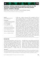 Báo cáo khoa học: Cysteine residues exposed on protein surfaces are the dominant intramitochondrial thiol and may protect against oxidative damage docx