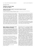 Báo cáo khoa học: Oxidative neuronal injury The dark side of ERK1/2 potx