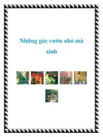 Những góc vườn nhỏ mà xinh pot