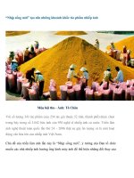 “Nhịp sống mới” tạo nên những khoảnh khắc tác phẩm nhiếp ảnh ppt