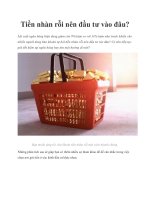 Tiền nhàn rỗi nên đầu tư vào đâu? doc