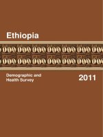 Demographic and Health Survey 2011 : Ethiopia pptx
