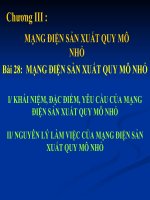 Chương III : MẠNG ĐIỆN SẢN XUẤT QUY MÔ NHỎ pptx