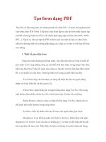 Tạo form dạng PDF pot