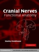 Cranial nerves Functional Anatomy potx