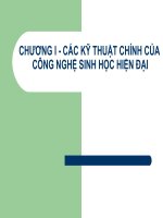 CHƯƠNG I - CÁC KỸ THUẬT CHÍNH CỦA docx