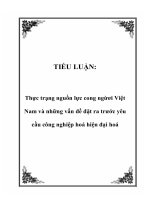 TIỂU LUẬN: Thực trạng nguồn lực cong ngừơi Việt Nam và những vấn đề đặt ra trước yêu cầu công nghiệp hoá hiện đại hoá doc
