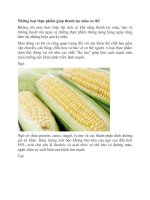 Những loại thực phẩm giúp thanh lọc máu cơ thể docx