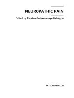 Neuropathic Pain Edited by Cyprian Chukwunonye Udeagha pdf