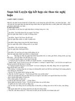 Soạn bài Luyện tập kết hợp các thao tác nghị luận