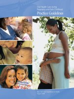 Oral Health Care during Pregnancy and Early Childhood - Practice Guidelines ppt