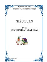 TIỂU LUẬN: QUY TRÌNH SẢN XUẤT CHAO pptx